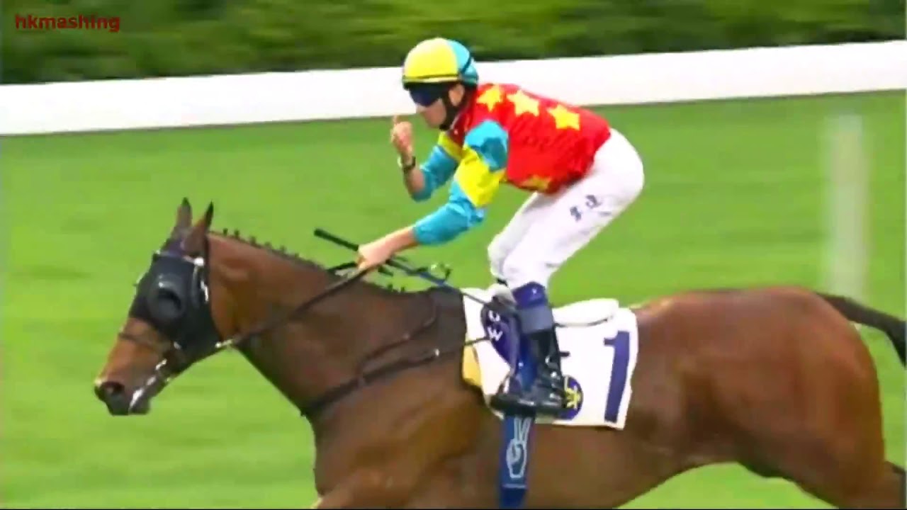 2011 The National Day Cup (Handicap) - Ambitious Dragon (雄心威龍) - 韋達