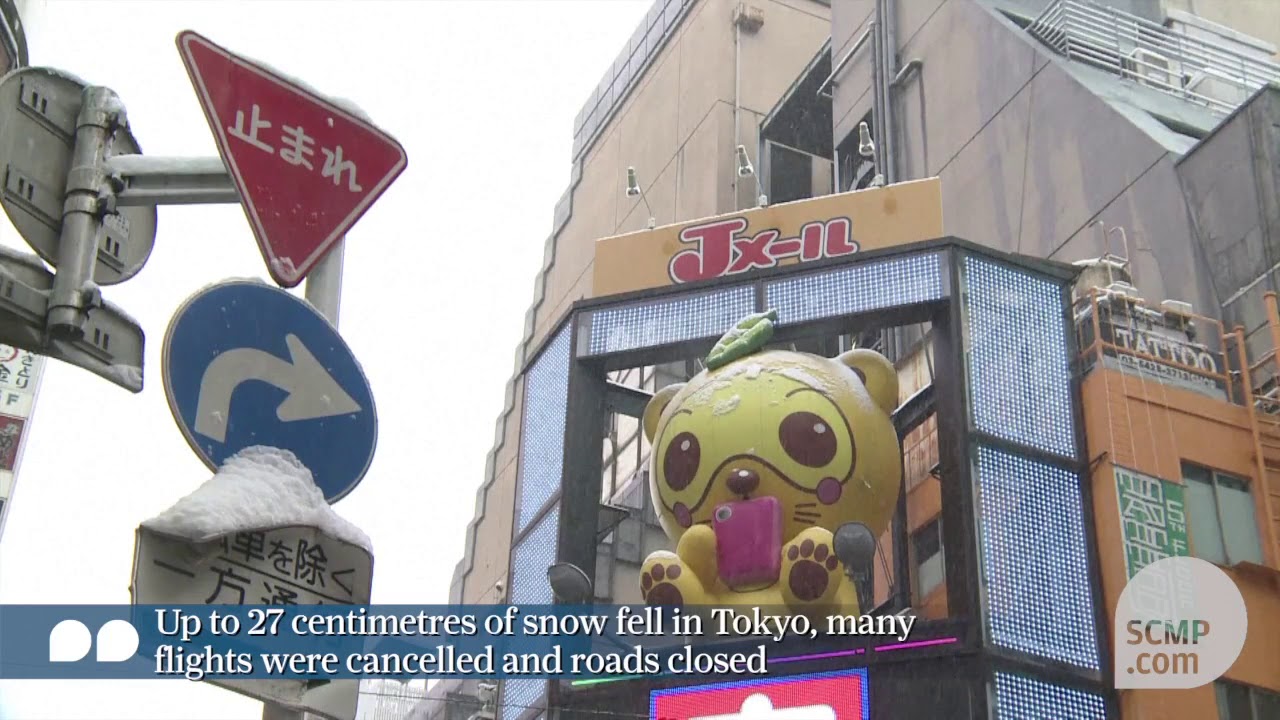 Tokyo hit by heavy snowfall, worst in 45 years
