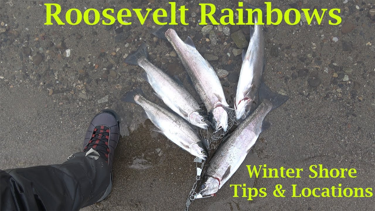 Lake Roosevelt Winter Shore Fishing