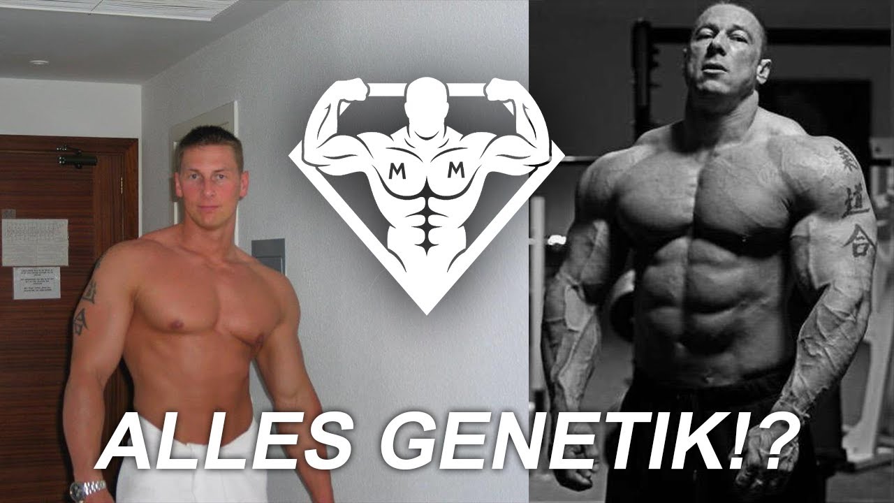Gute Genetik, wie wichtig für den Muskelaufbau und woran erkenne ich ob ich sie habe ?
