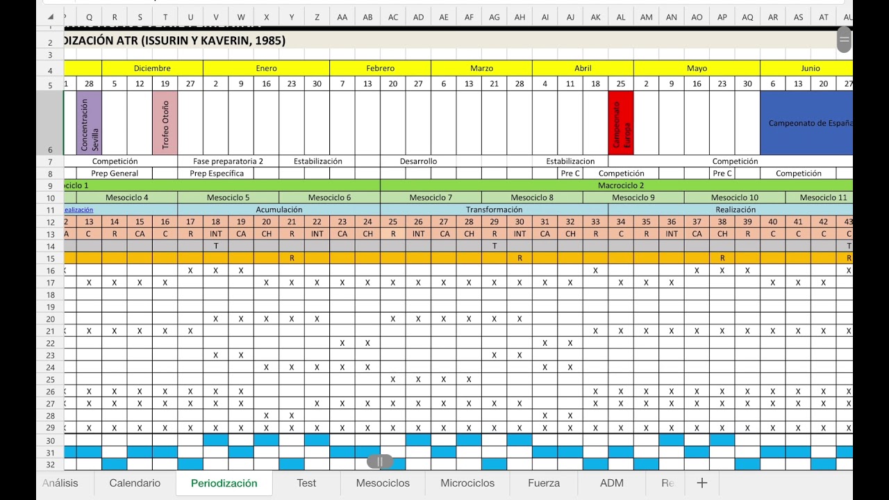Planificación de entrenamiento de gimnasia artística juvenil femenina