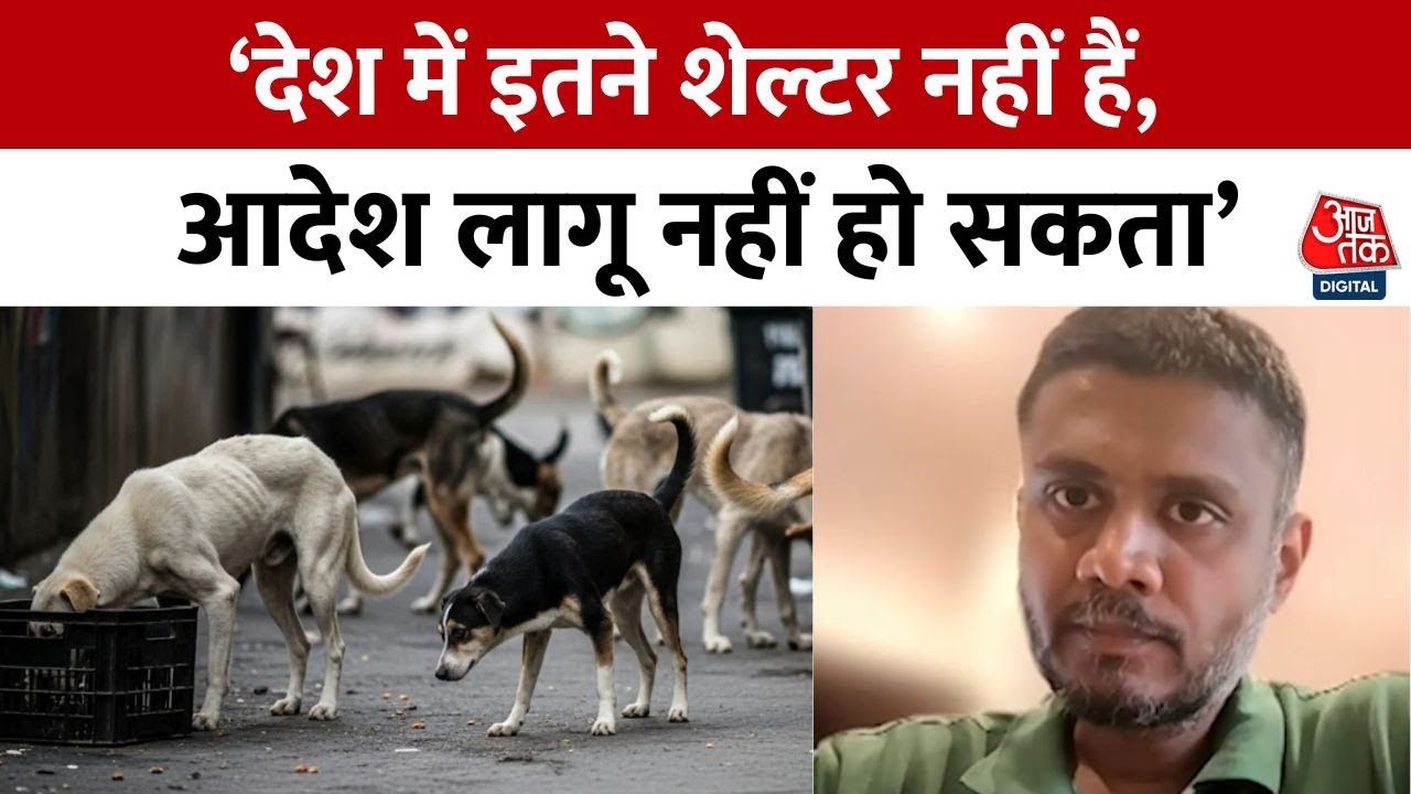 Delhi में Dog Sterilization पर भ्रष्टाचार का आरोप, Supreme Court के आदेश को चुनौती देने की तैयारी