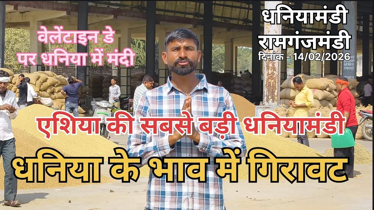 धनिया के भाव में जबरदस्त गिरावट ।। एशिया की सबसे बड़ी धनियामंडी रामगंजमंडी ।। धनिया का भाव हुआ कम 