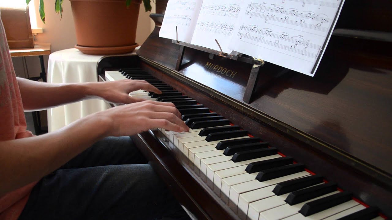 Ludovico Einaudi- Inizio