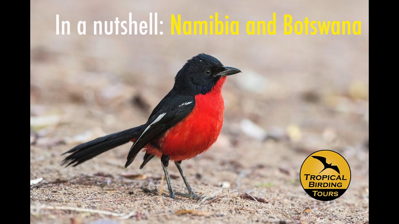 In a nutshell: Namibia and Botswana