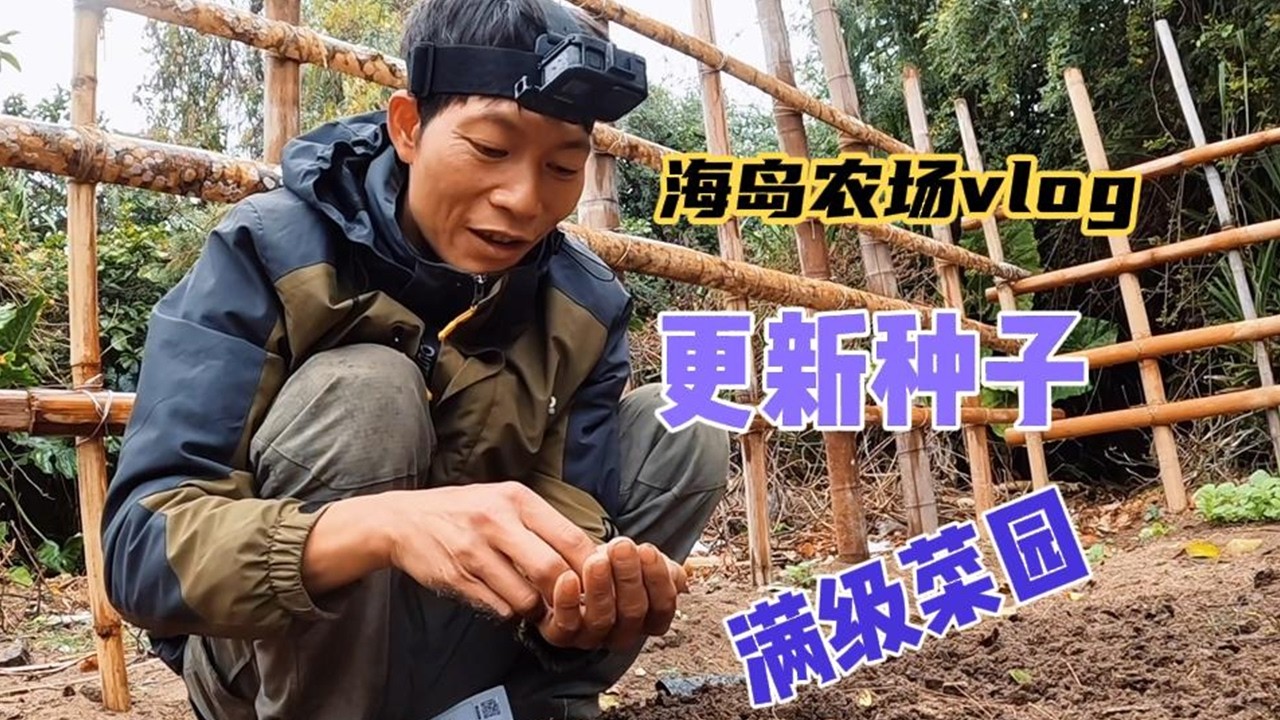【海島世外桃源】下雨了 這天氣就適合種菜 今天換了新種子把菜園種滿#歡迎光臨我的生活#面朝大海春暖花開#vlog#戶外#探險#野外求生#野外生存#荒野探險#荒島求生