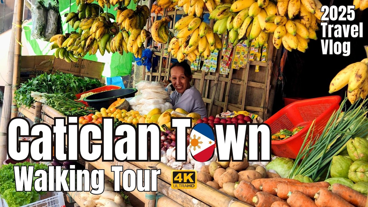 [4K] Caticlan & Jetty Port, Philippines: A Real-Life Walking Tour! | 菲律賓卡提克蘭市場和碼頭：真實的徒步之旅！