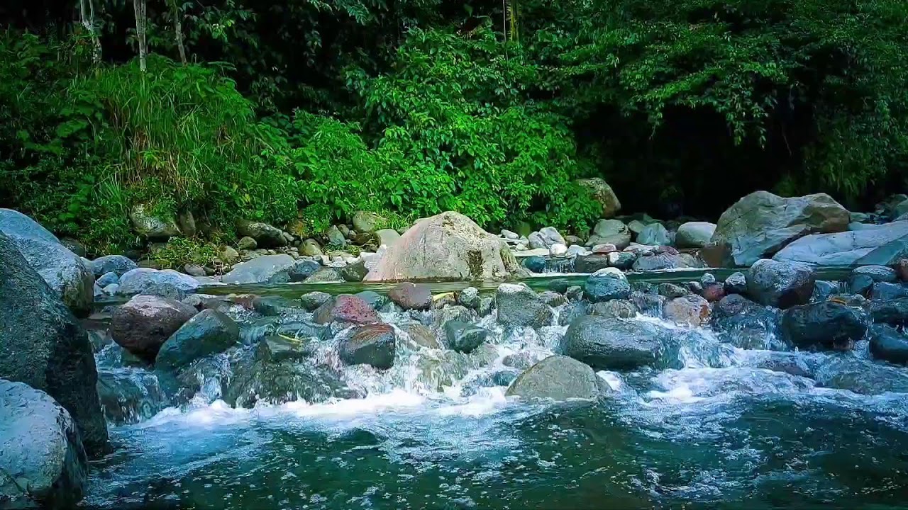 🌿 Soothing River Flow ASMR Ambience for Stress Relief & Better Sleep
