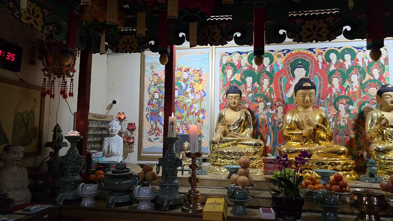 무창스님 라이브 방송