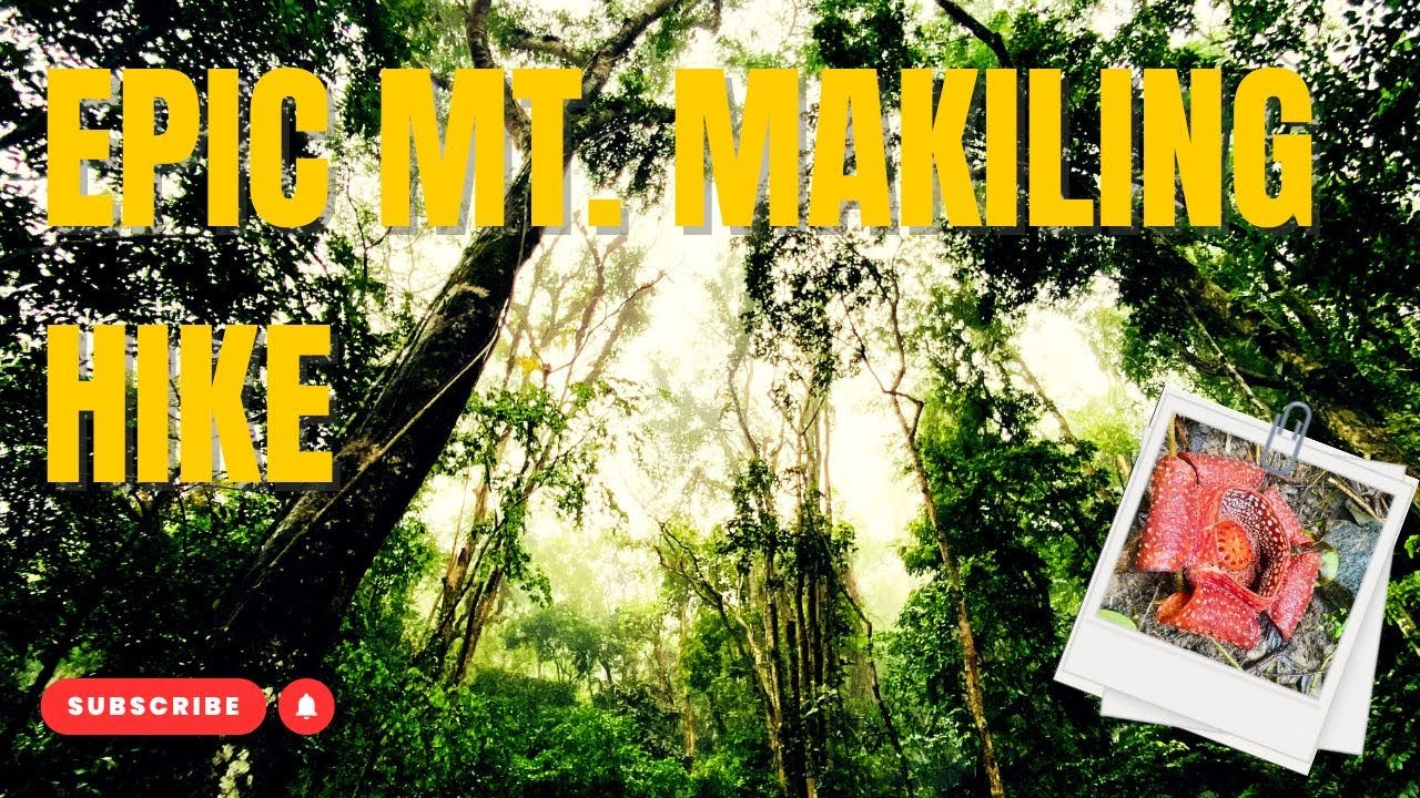 Mt. Makiling 2025 | Epic POV Adventure Through the Jungle! 🌿🏔️| Travel Documentary