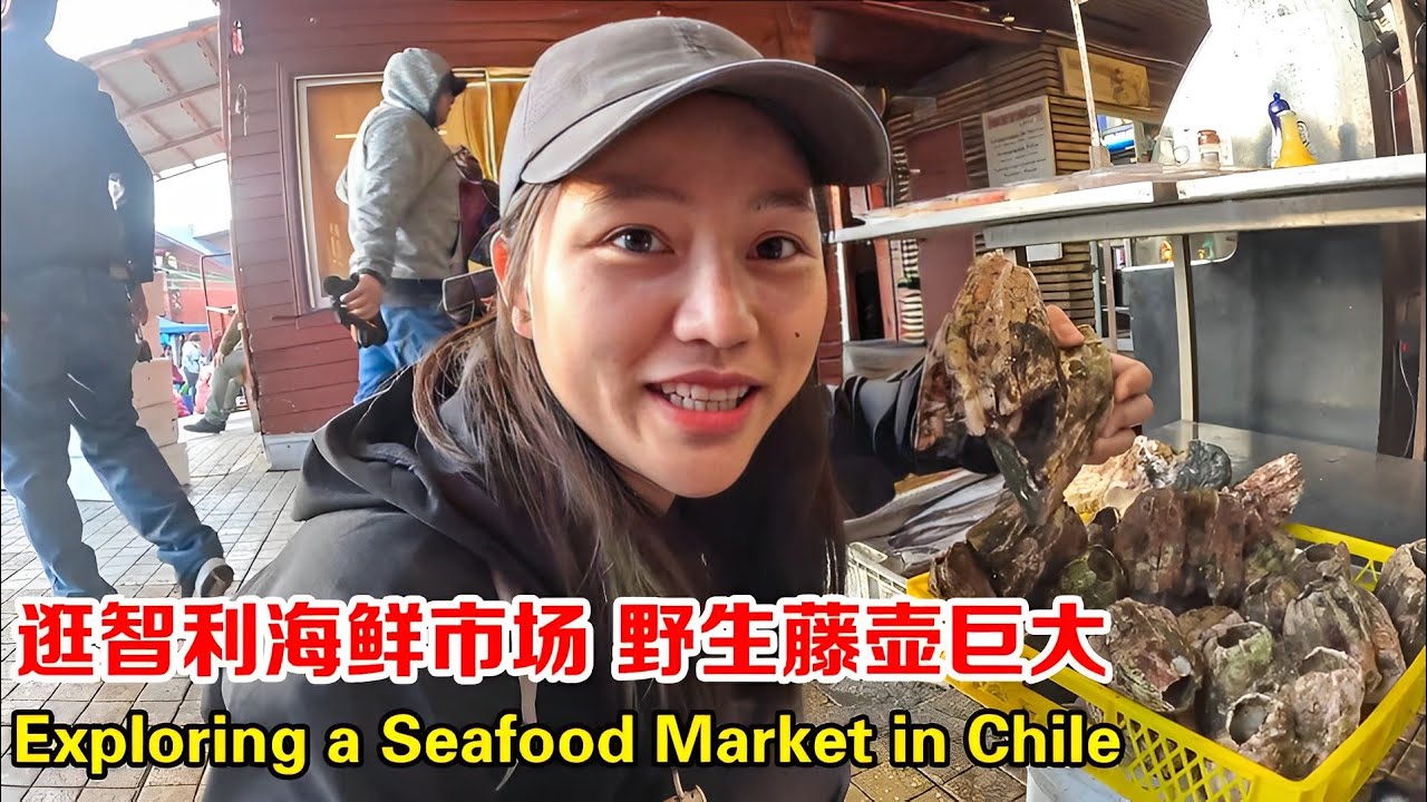 中国妹子独自背包环游南美，逛智利周末海鲜集市，竟然买到野生藤壶【张猫猫历险记】