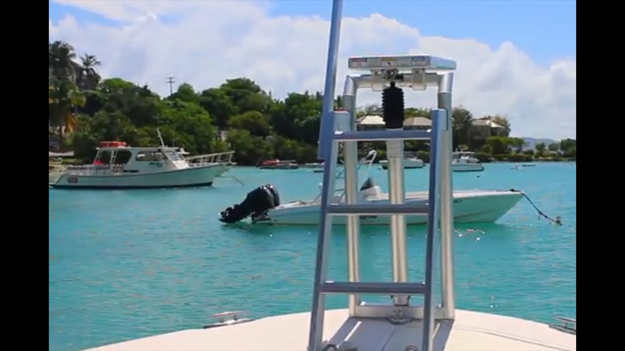 LilliPad Diving Boards