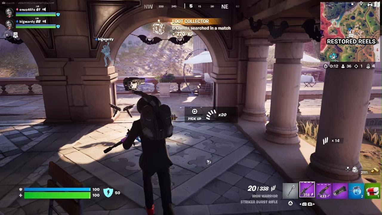 Fortnite dump