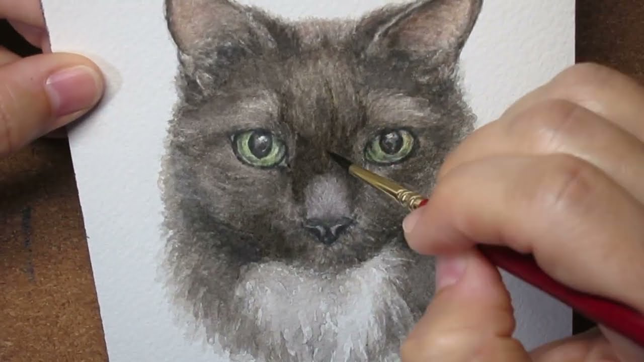 Watercolor painting a Gray Cat in highspeed \ Realistic
