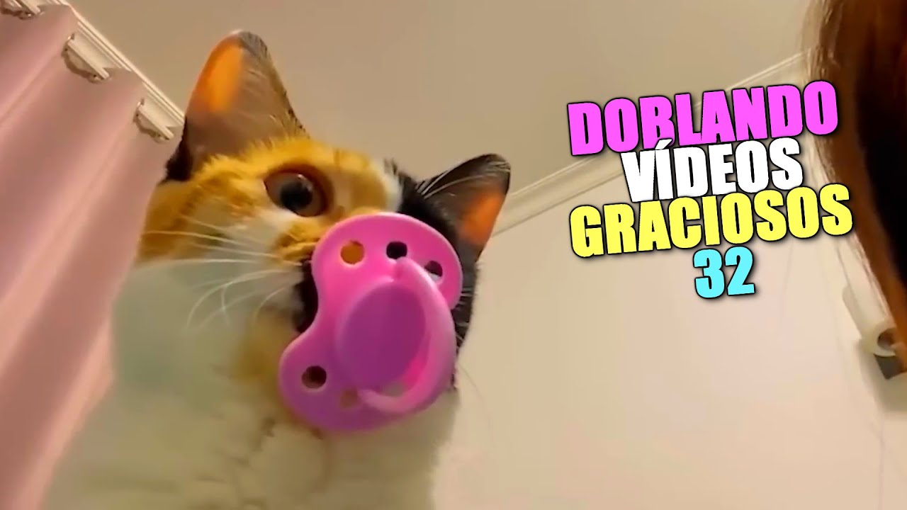 DOBLANDO V&Iacute;DEOS GRACIOSOS 32