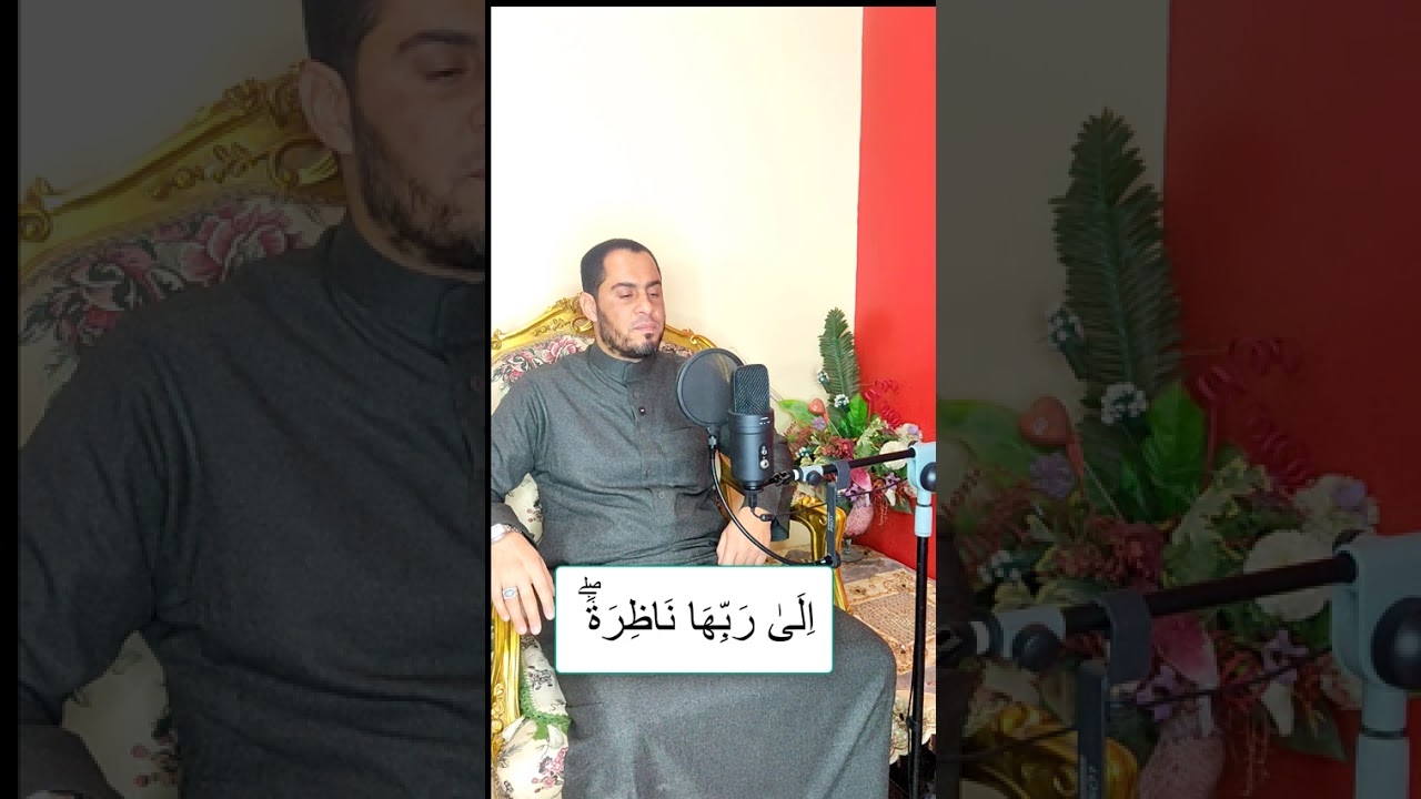 سورة القيامة برواية ورش عن نافع بوجه توسط البدل وتقليل ذات الياء بصوت الشيخ عبدالرحمن علام 