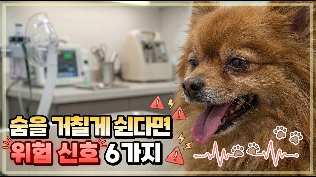 수의사가 알려주는 강아지 호흡 진단법: 잇몸 색깔과 체온만 봐도 병을 압니다
