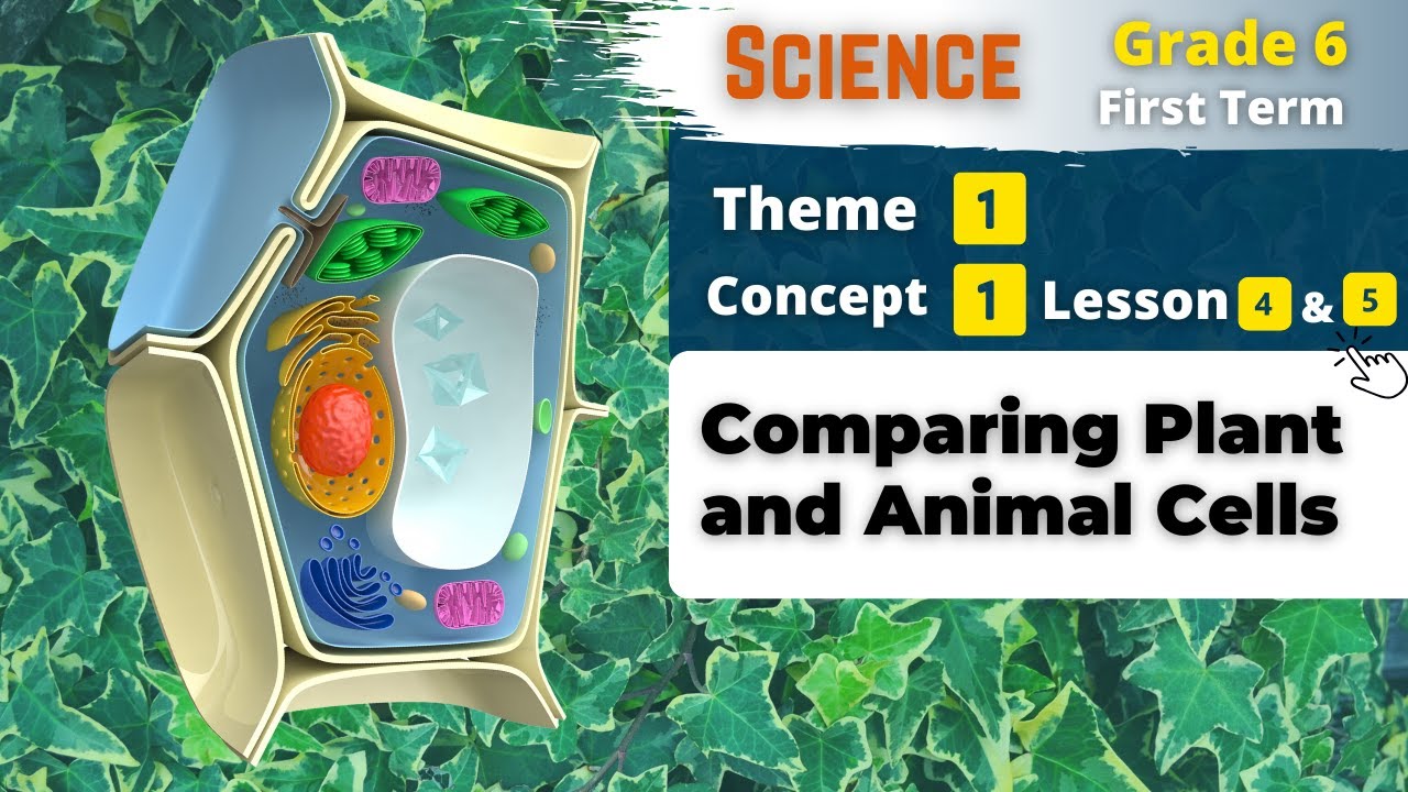 Grade 6 | Comparing Plant and Animal Cells | Theme 1 - Concept 1 - Lesson 4&5 | Science