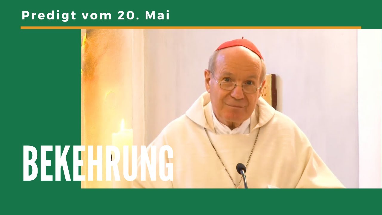 19. Mai: BEKEHRUNG - Die Predigt von Kardinal Schönborn bei der Morgenmesse