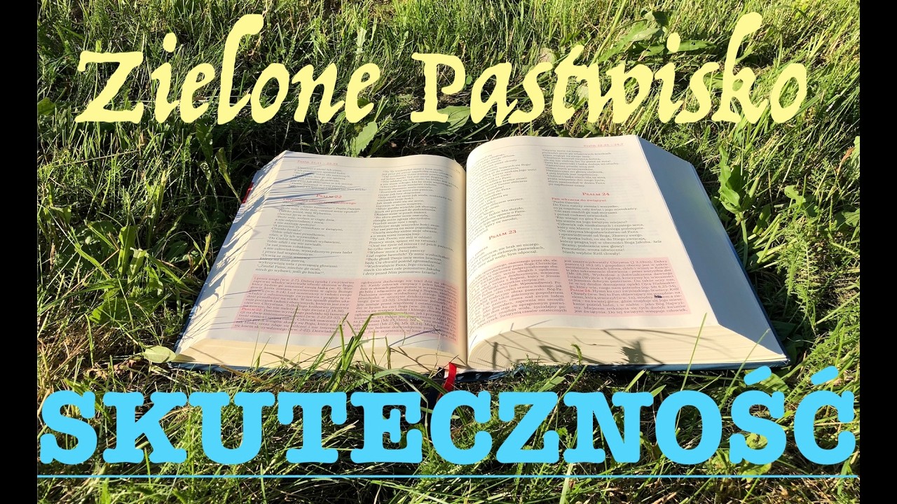 Zielone Pastwisko 10.04.2026 &bdquo;SKUTECZNOŚĆ