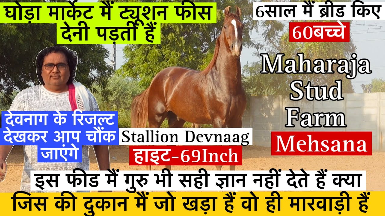 क्यों कहा विष्णु भाई ने घोड़ा मार्केट मैं ट्यूशन फीस देनी पड़ती हैं गुरु भी सहीज्ञान नहीं देते हैं !