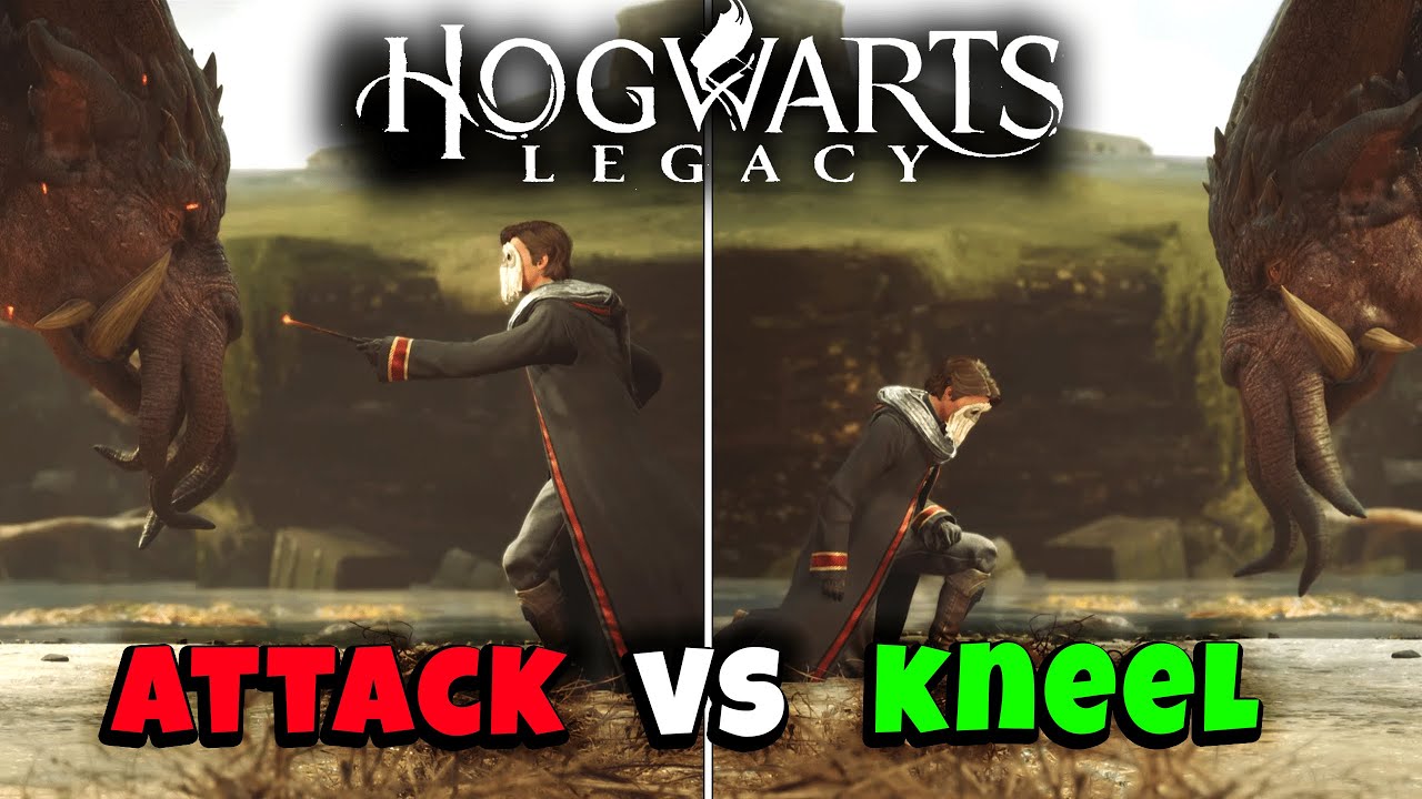 Kneel vs Attack Graphorn - Hogwarts Legacy
