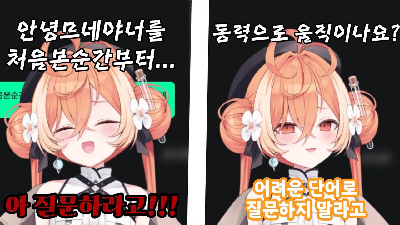 매우 정상(?)적인 스무고개하는 므므네