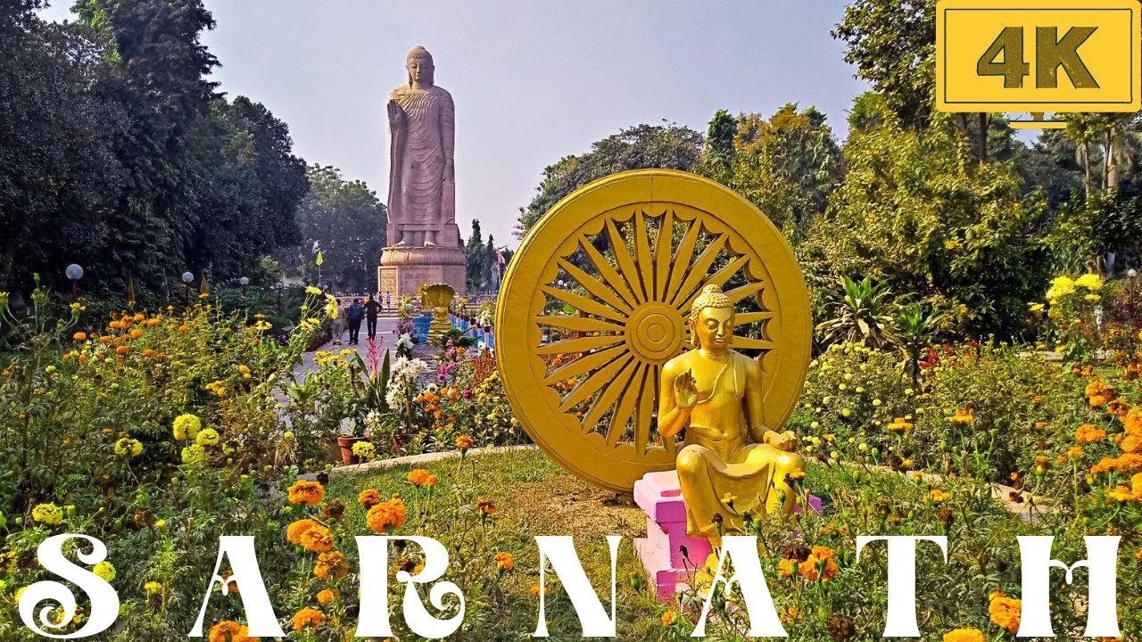 Serene Sarnath: A Day Trip From Varanasi | Sarnath Buddhist Temple & Dhamek Stupa | English Vlog |