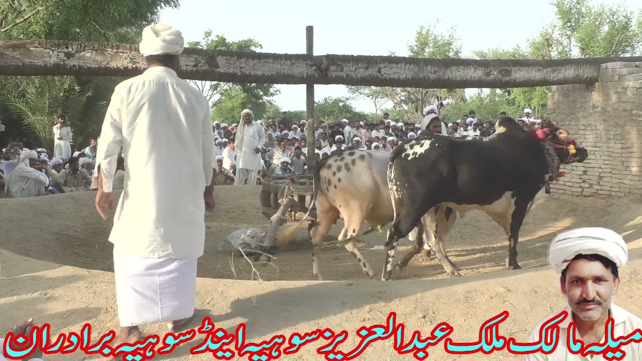 Bsakhi mala kot sultan layyah 2021 Pakistan Waseem 4K Movies
