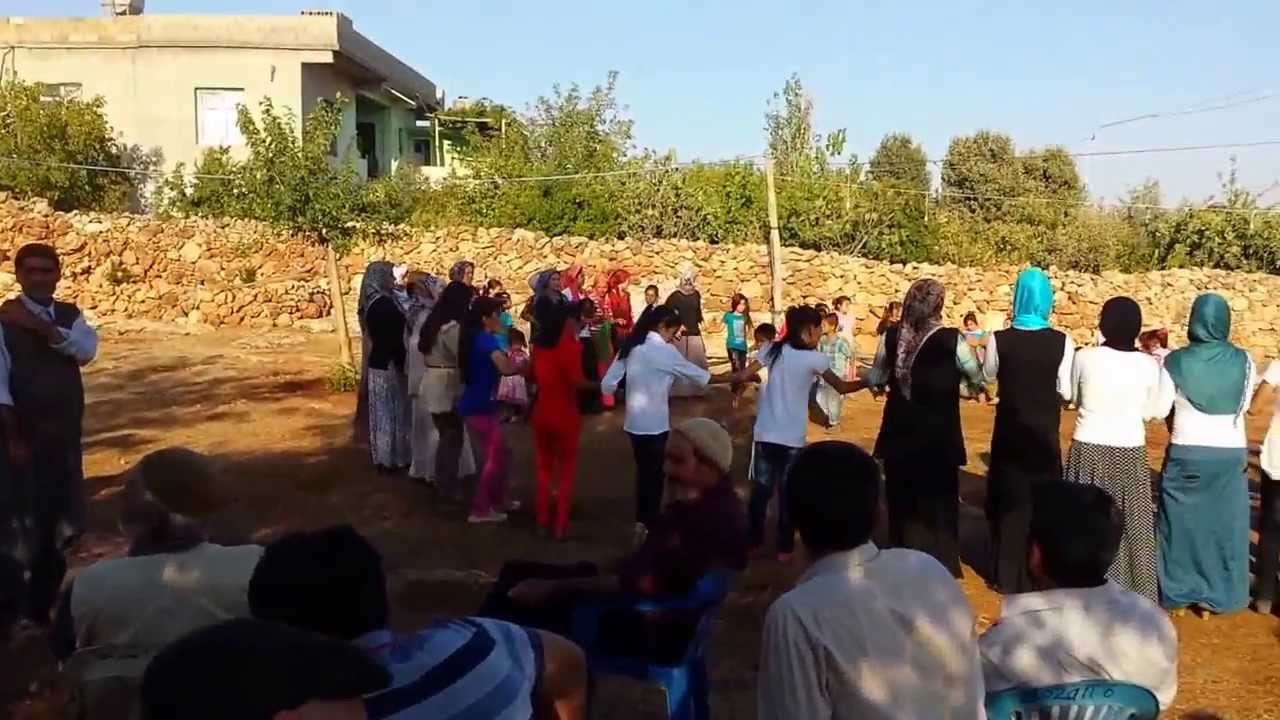 zirave  huseyin ekinci sarmali koyu  ramazan tekdas