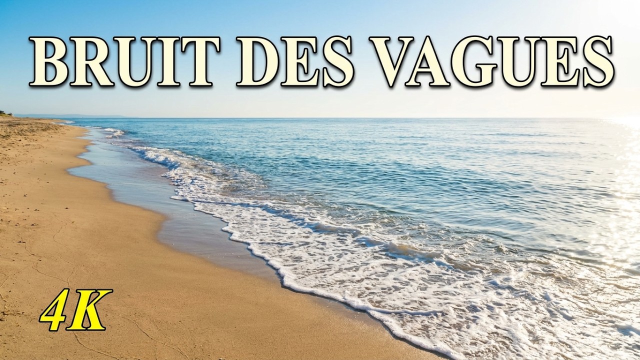 Bruit des Vagues 🌊 Marche sur la Plage – Relaxation & Anti-Stress