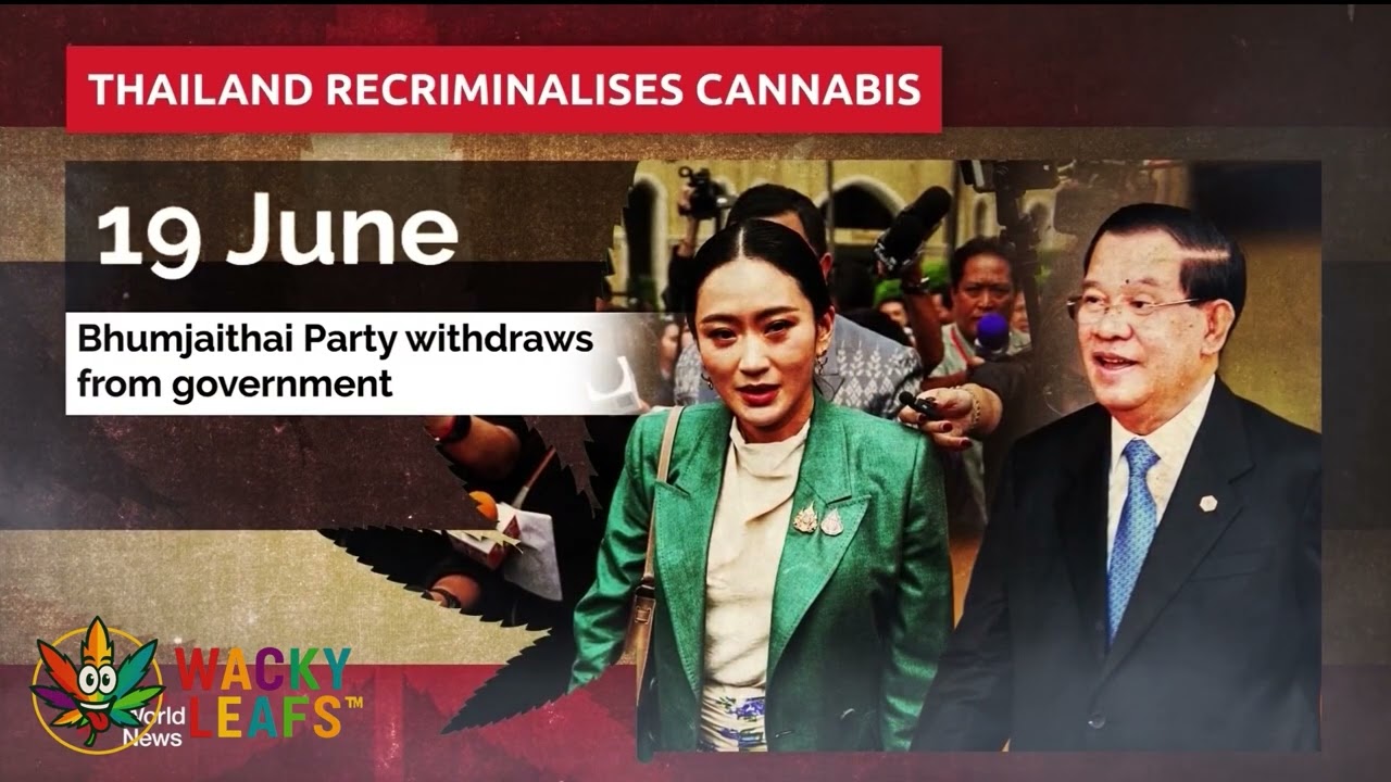 HIGH ALERTS: THE COME DOWN FROM THAILAND'S DECRIMINALIZED CANNABIS EXPERIMENT.