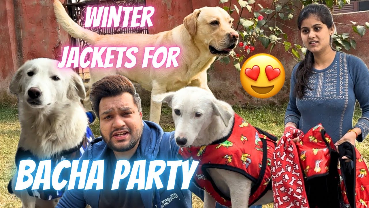 Bacha Party Ke Liye Winter Jackets 🥰 #vlog g