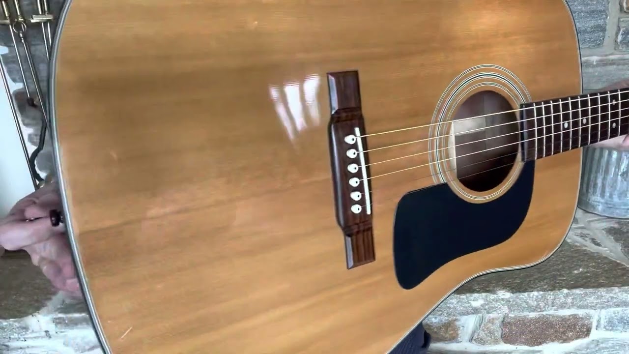 Washburn D-12 N