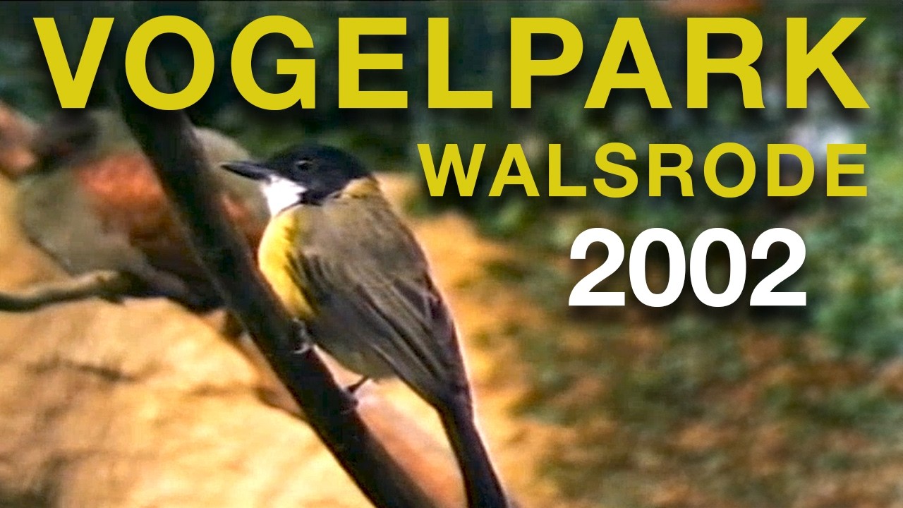 Vogelpark Walsrode - 2002