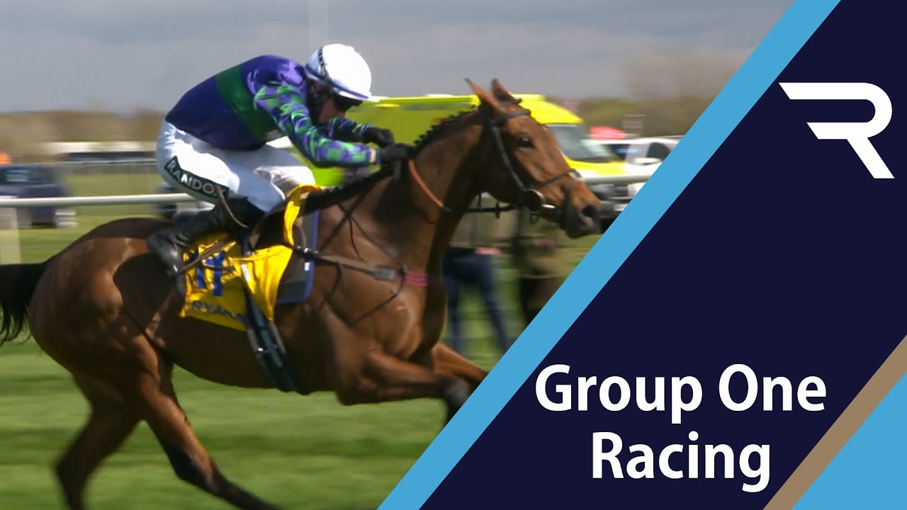 Star Stayer! THYME HILL and Tom O'Brien time it to perfection to take the Ryanair Stayers Hurdle