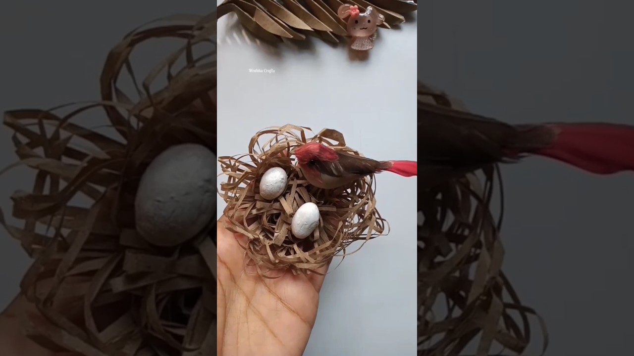 Easy🥰Paper🐦Nest