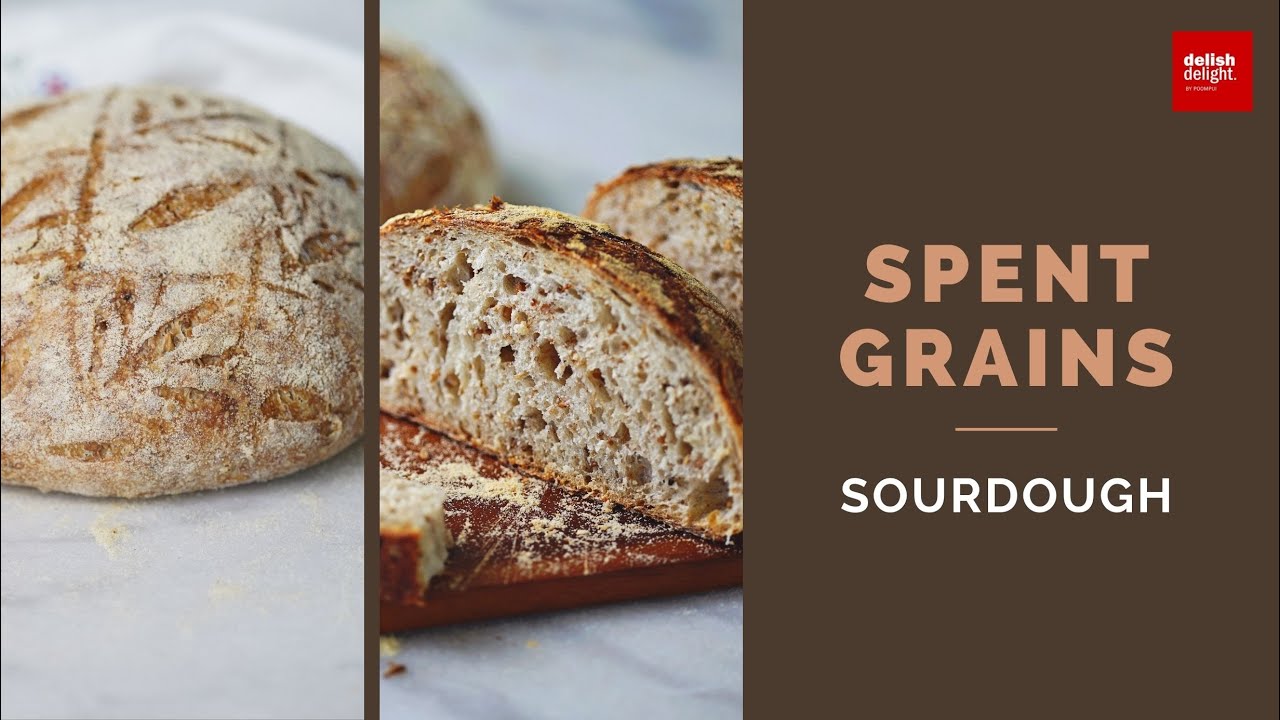 SPENT GRAINS SOURDOUGH | MALTY SOURDOGH |  ทำขนมปังเปลือกแข็งจากมอลต์ที่เหลือจากการต้มเบียร์