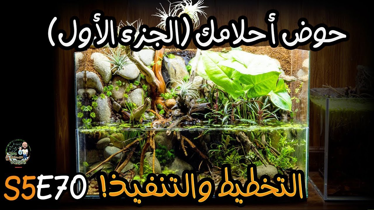 S5E70 - حوض أحلامك الجزء الأول - التخطيط والتنفيذ