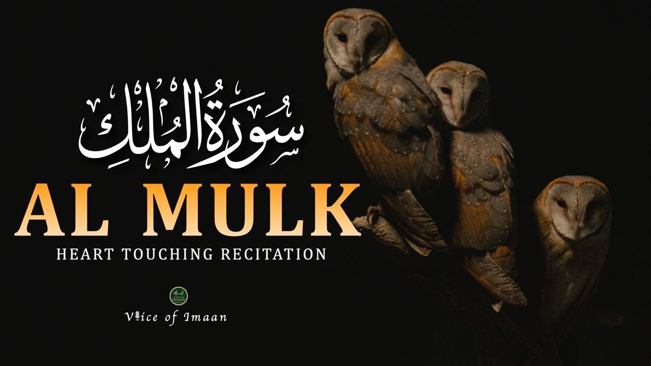 Surah Al-Mulk سورة الملك | Deeply Soothing Quran Recitation for Sleep & Healing 🤍 #quranforsleep