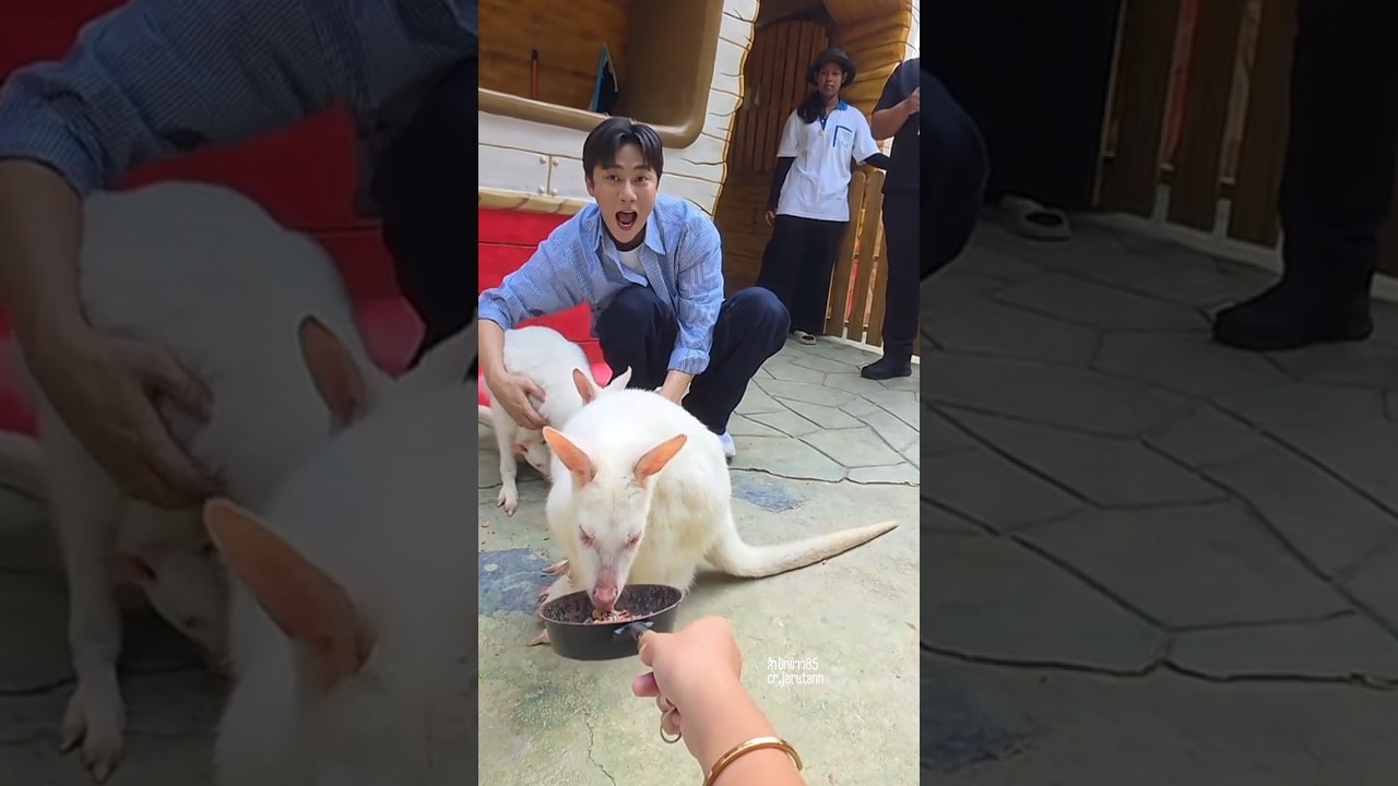 พี่จอง มีลูก โอ๊ะมีลูกด้วยหรอค๊าบ🤭🥰 #พี่จอง #jung #cullenhateberry #พี่จองคัลแลน #คัลแลนพี่จอง
