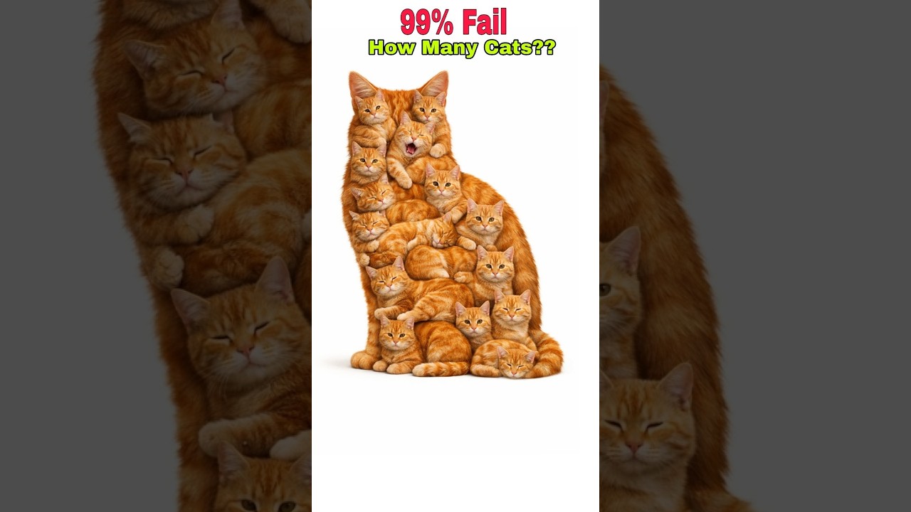🔴 99% Fail 🤯 | Any Legend Online ??🤷🏻‍♂️🤔 How Many Cats You See??🥵 |🫵🏻👇🏻