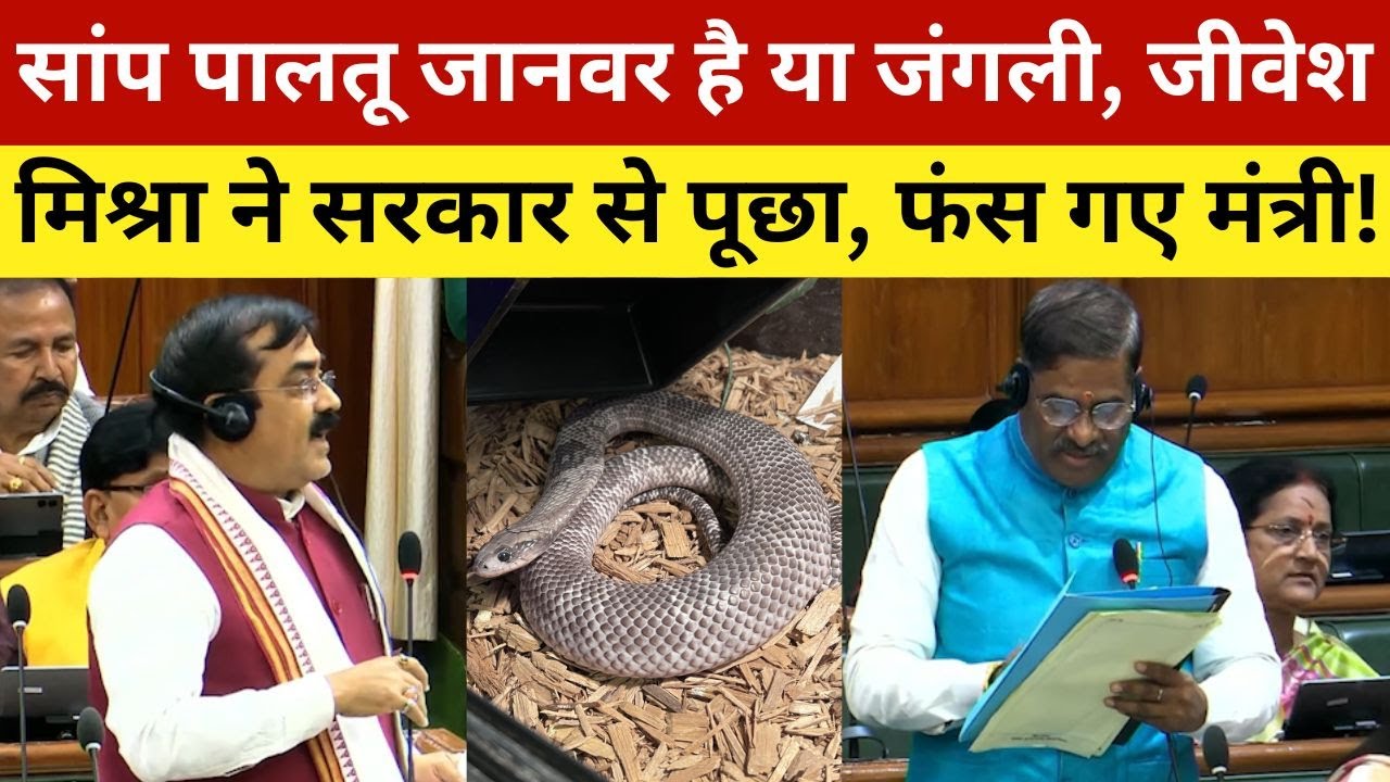 सांप पालतू जानवर है या जंगली, जीवेश मिश्रा ने सरकार से पूछा, फंस गए मंत्री! Snake Is pet or wild