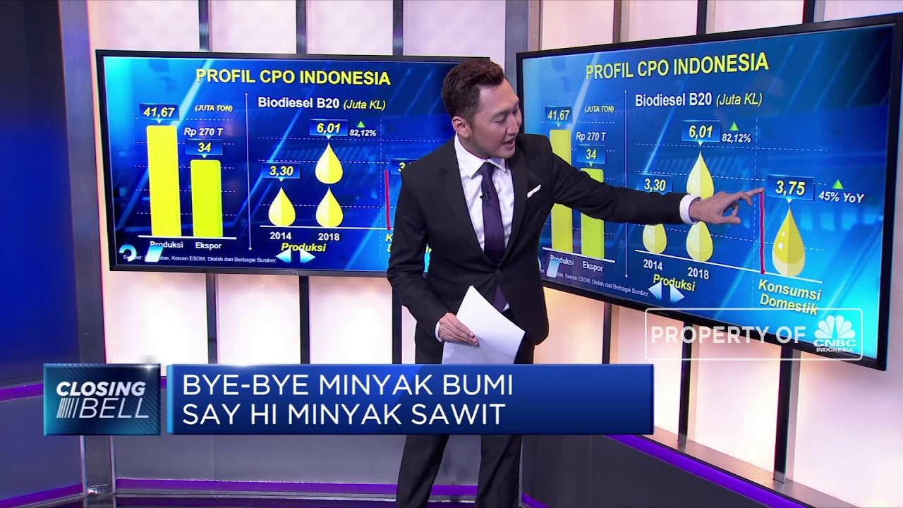Bye-Bye Minyak Bumi, Say Hi Minyak Sawit