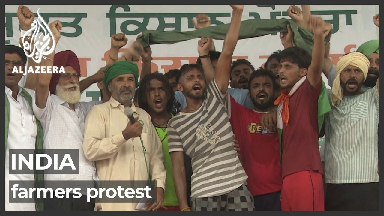 India farmers call on gov't to repeal controversial laws