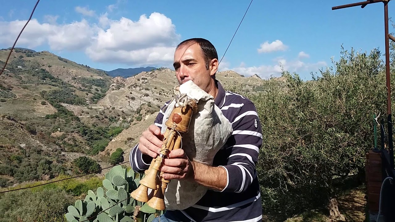 Zampognella in SI in Olivo