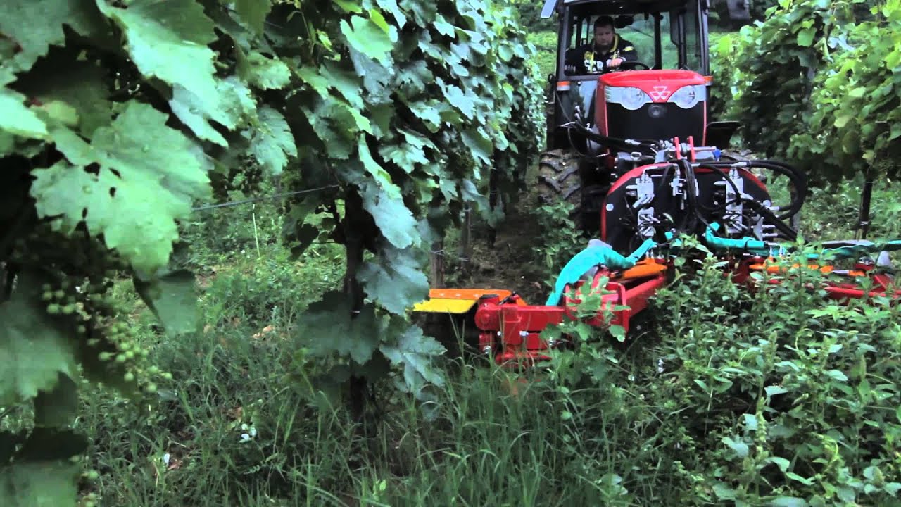 Fischer Twister working in Villany(Hungary)