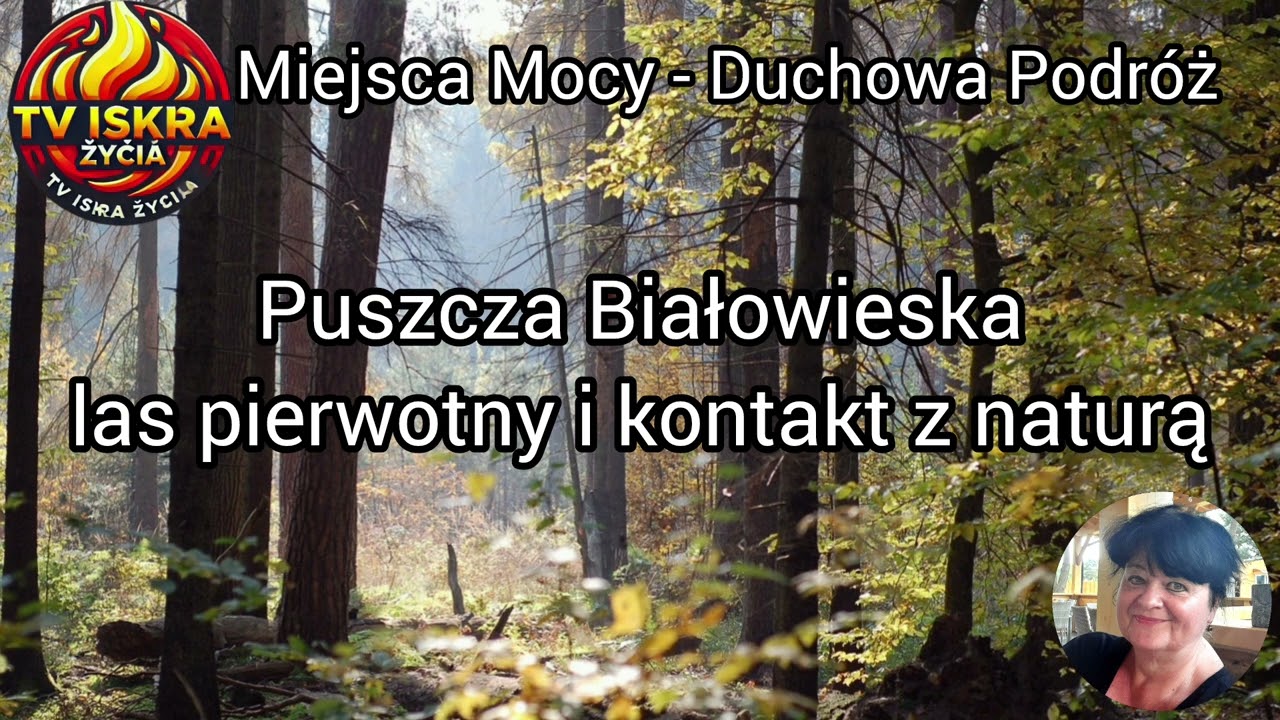 @Iskra-j2f Puszcza Białowieska - las pierwotny i kontakt z naturą. 25.07.2025