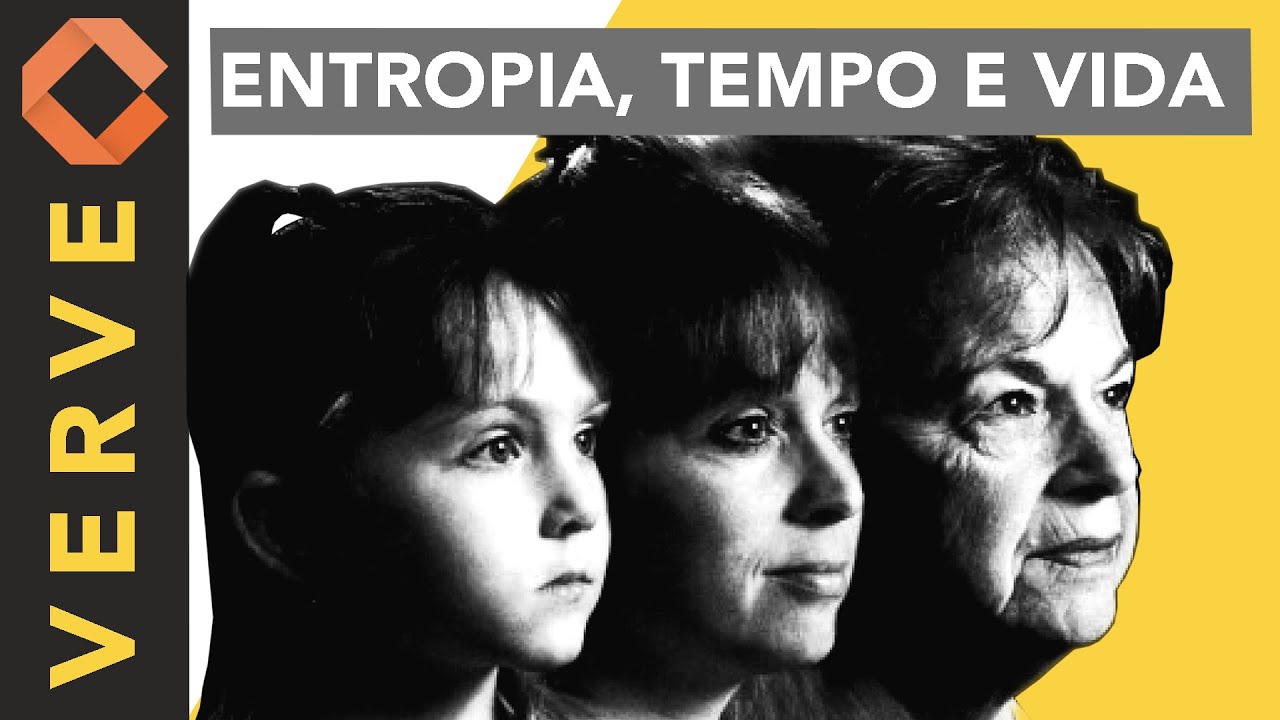 A entropia, a seta do tempo e o funcionamento da vida: Um mundo irrevers&iacute;vel.