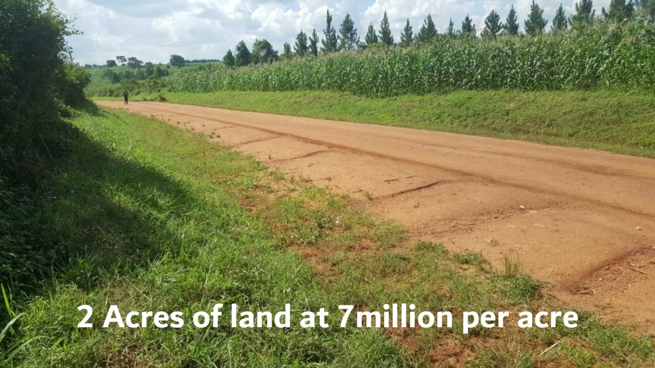 2 Acres for sale in Kapeka at discounted price UGX 7M per acre